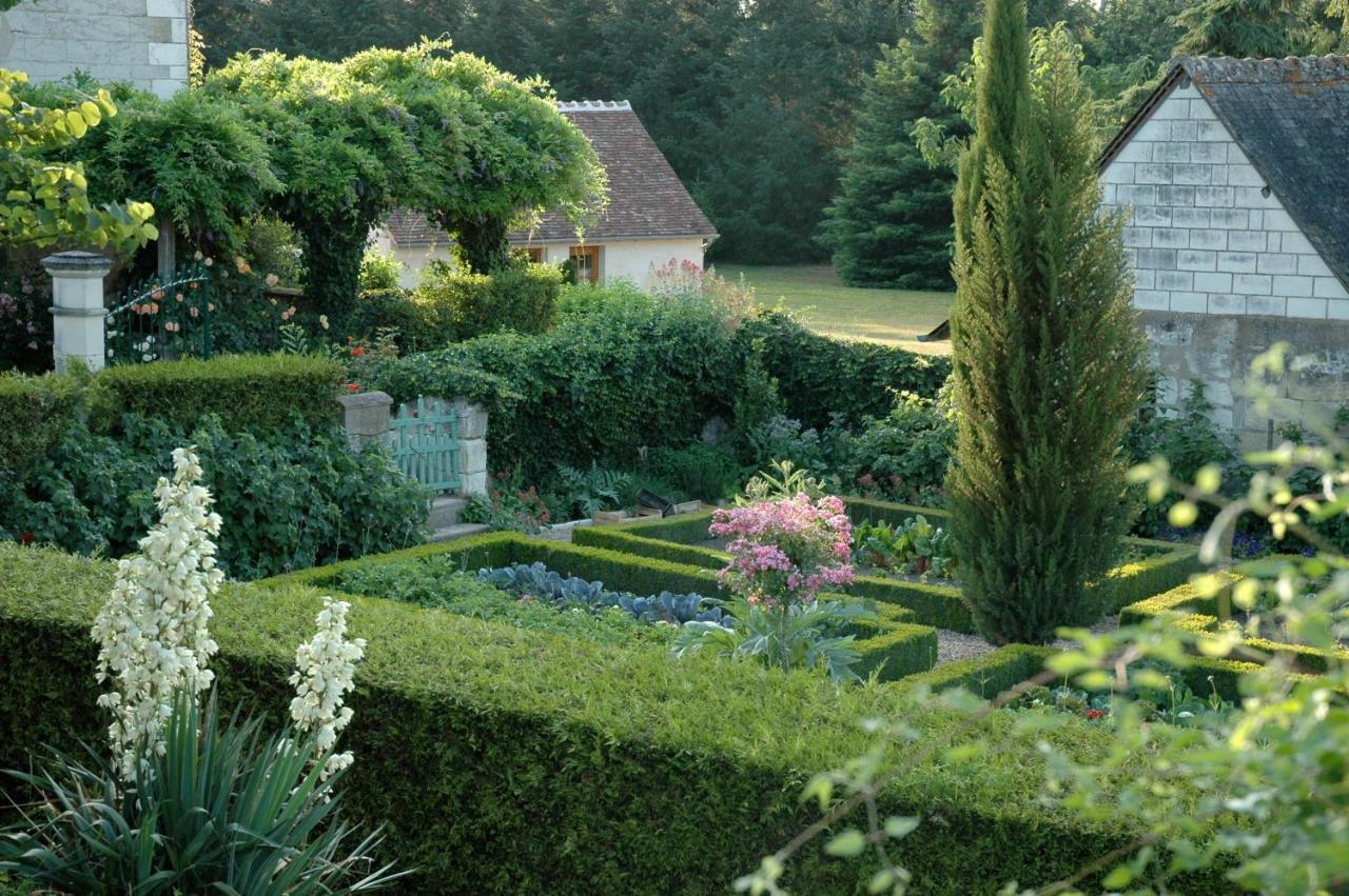 Le Chat Courant Villandry Eksteriør bilde