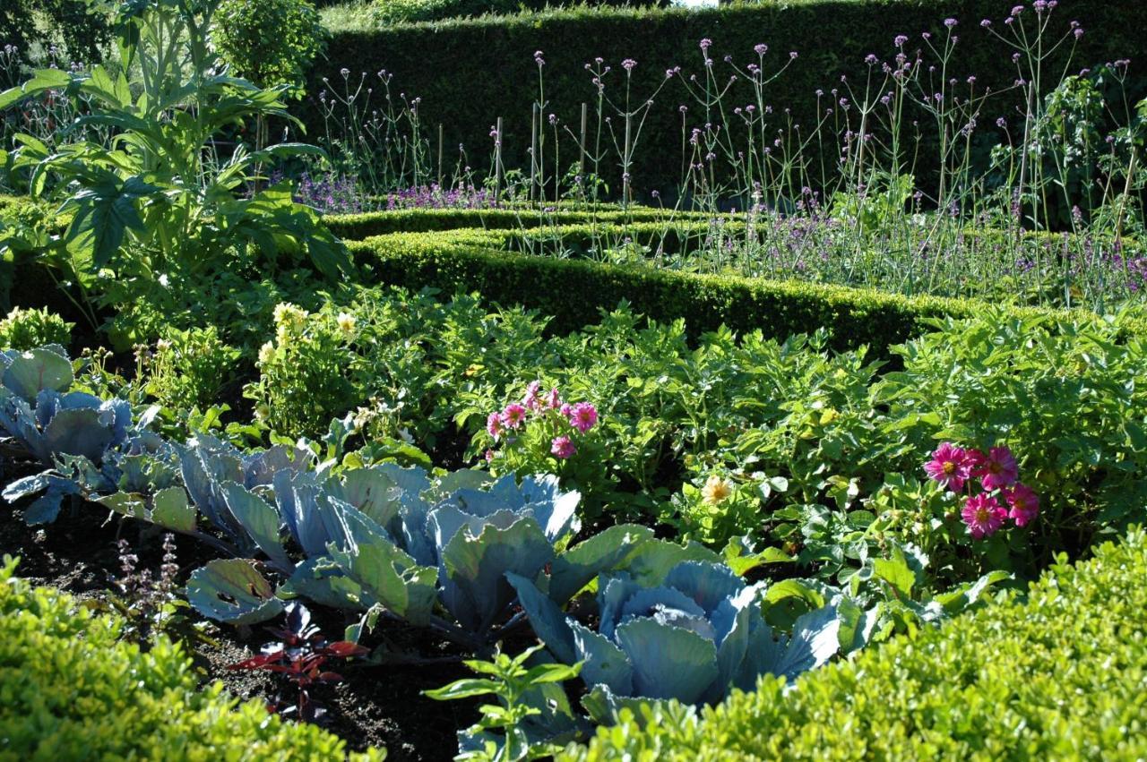 Le Chat Courant Villandry Eksteriør bilde